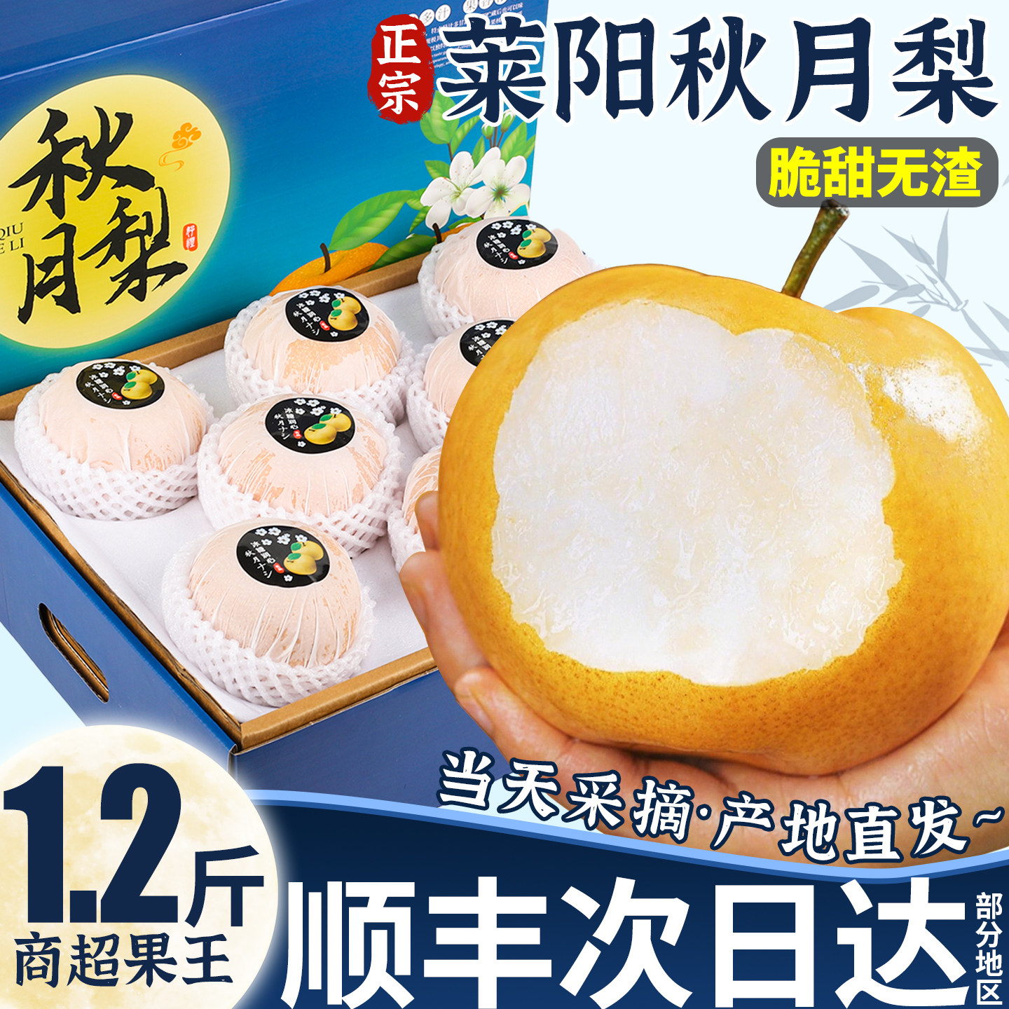 山东秋月梨特大果9斤