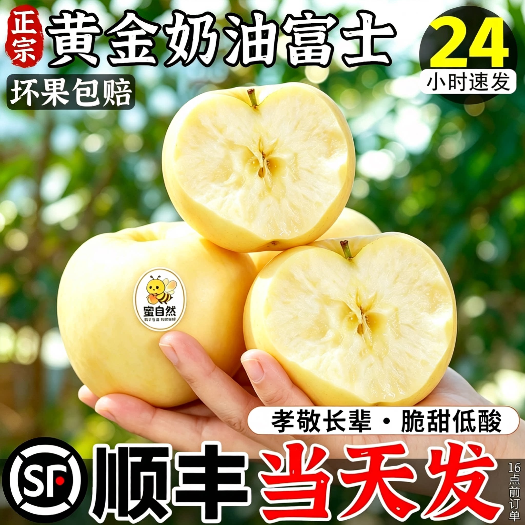 不打蜡带皮吃!黄金奶油富士!