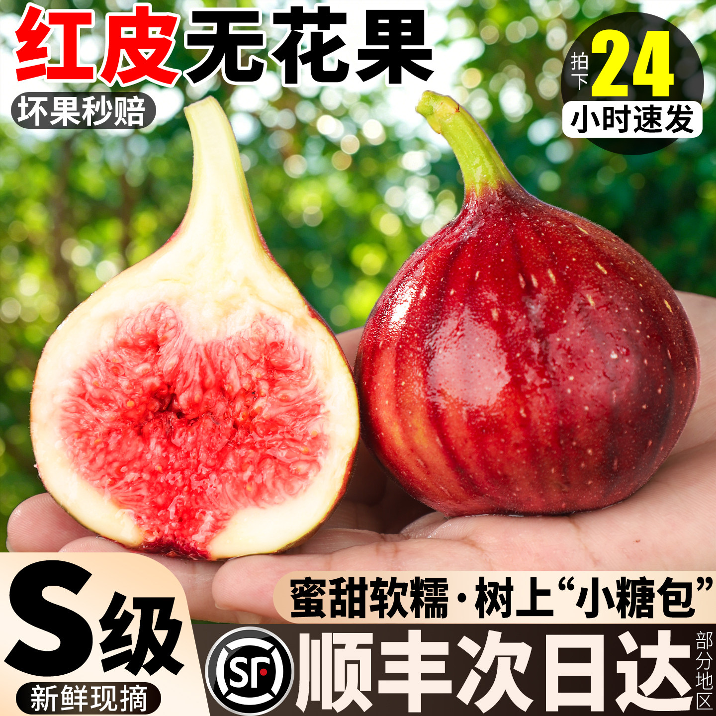 四川红皮无花果鲜果特大甜蜜无花果果王当季新鲜孕妇顺丰包邮