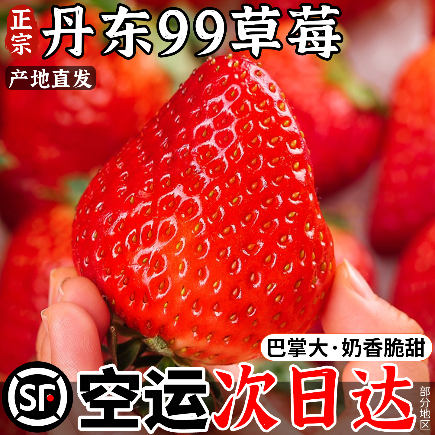 【假一罚十】丹东99草莓产地直发
