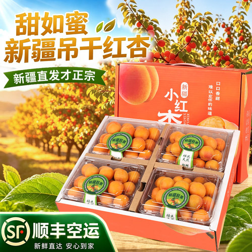 顺丰空运纯甜小红杏新疆吊杆杏