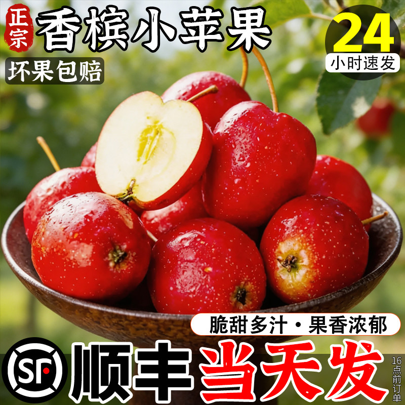 【稀奇品质】香槟小苹果试吃尝鲜