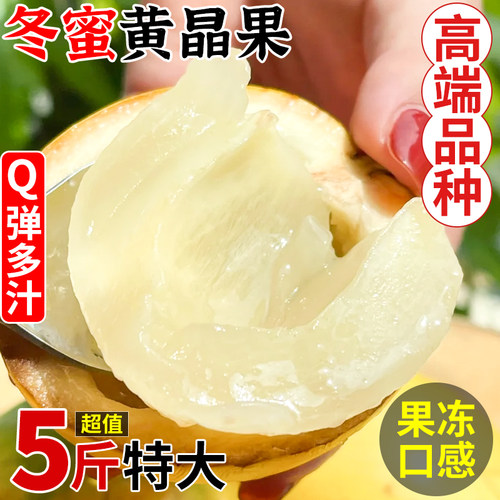 【稀有黄晶果】新鲜水果隔天送达