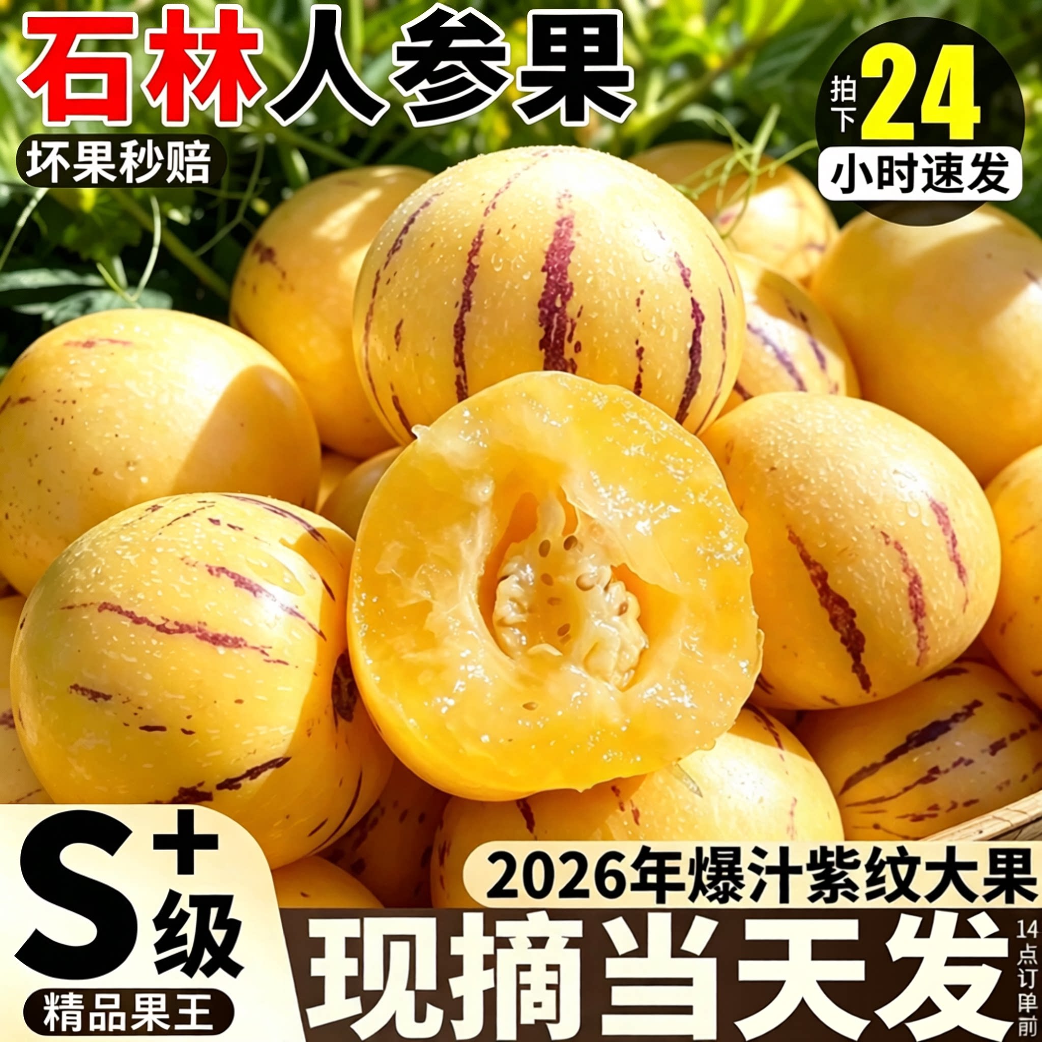 云南石林人参果5斤大果圆果当季新鲜水果黄肉七彩人生果整箱包邮