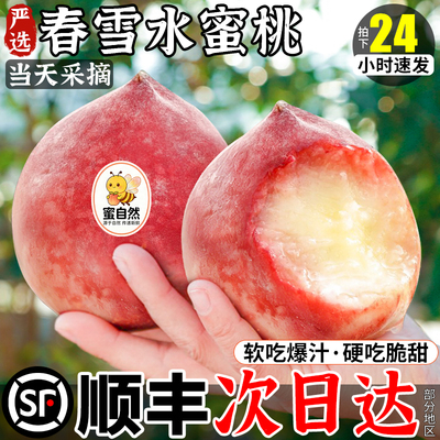 顺丰送货上门【脆甜春雪水蜜桃】