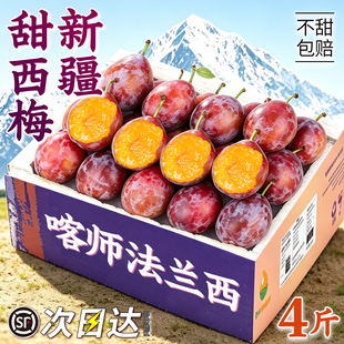 西梅新鲜水果法兰西西梅特大蓝蜜西梅水果新鲜当季整箱李子旗舰店