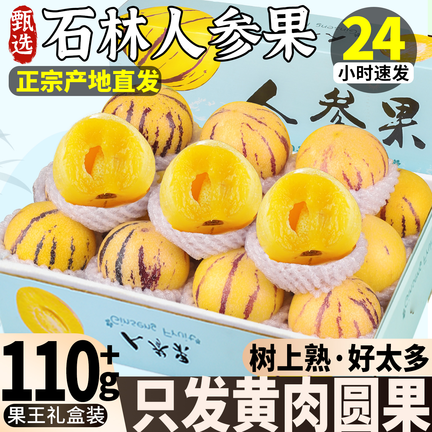 现摘石林人参果丨树上熟黄肉甜果