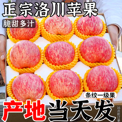 【官方推荐】超高复购洛川苹果