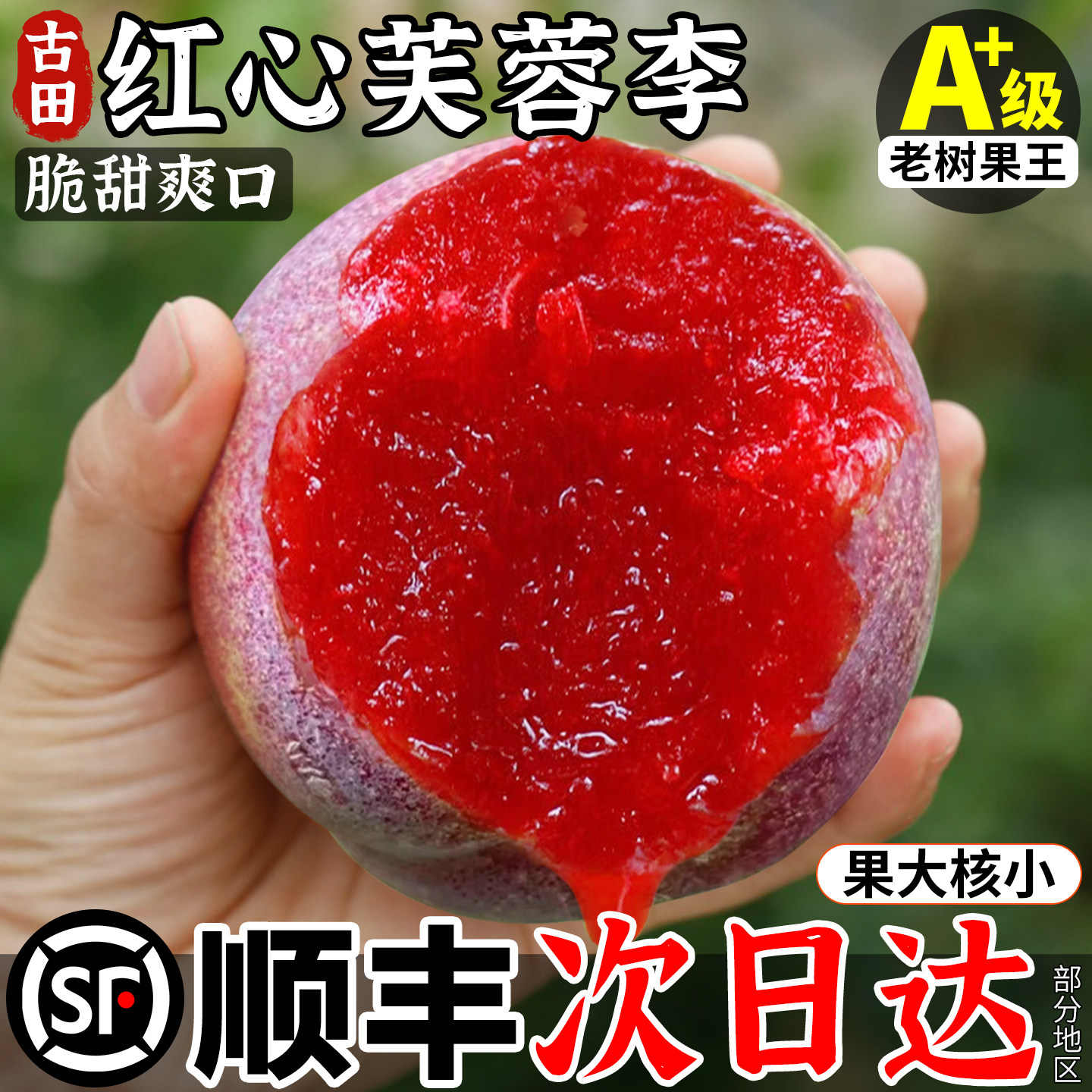 现摘当天发产地直采肉厚核小