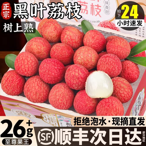 顺丰冷链丨黑叶荔枝当季尝鲜！