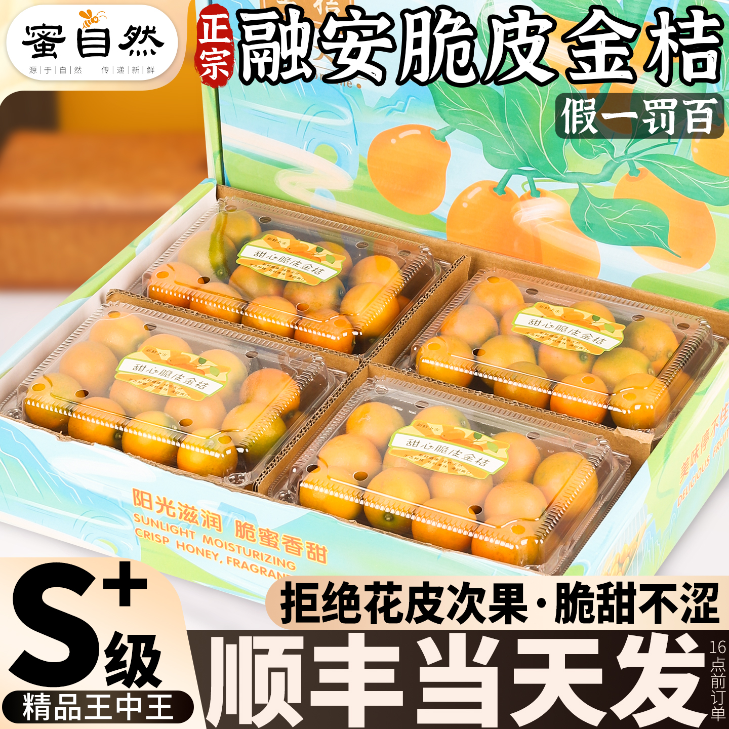 送礼推荐|融安金桔5斤礼盒