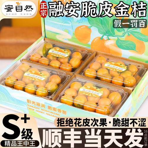 送礼推荐|融安金桔5斤礼盒