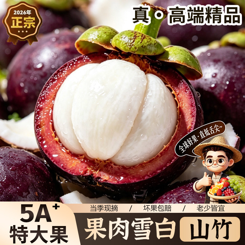 【官方推荐】泰国进口正宗油麻竹