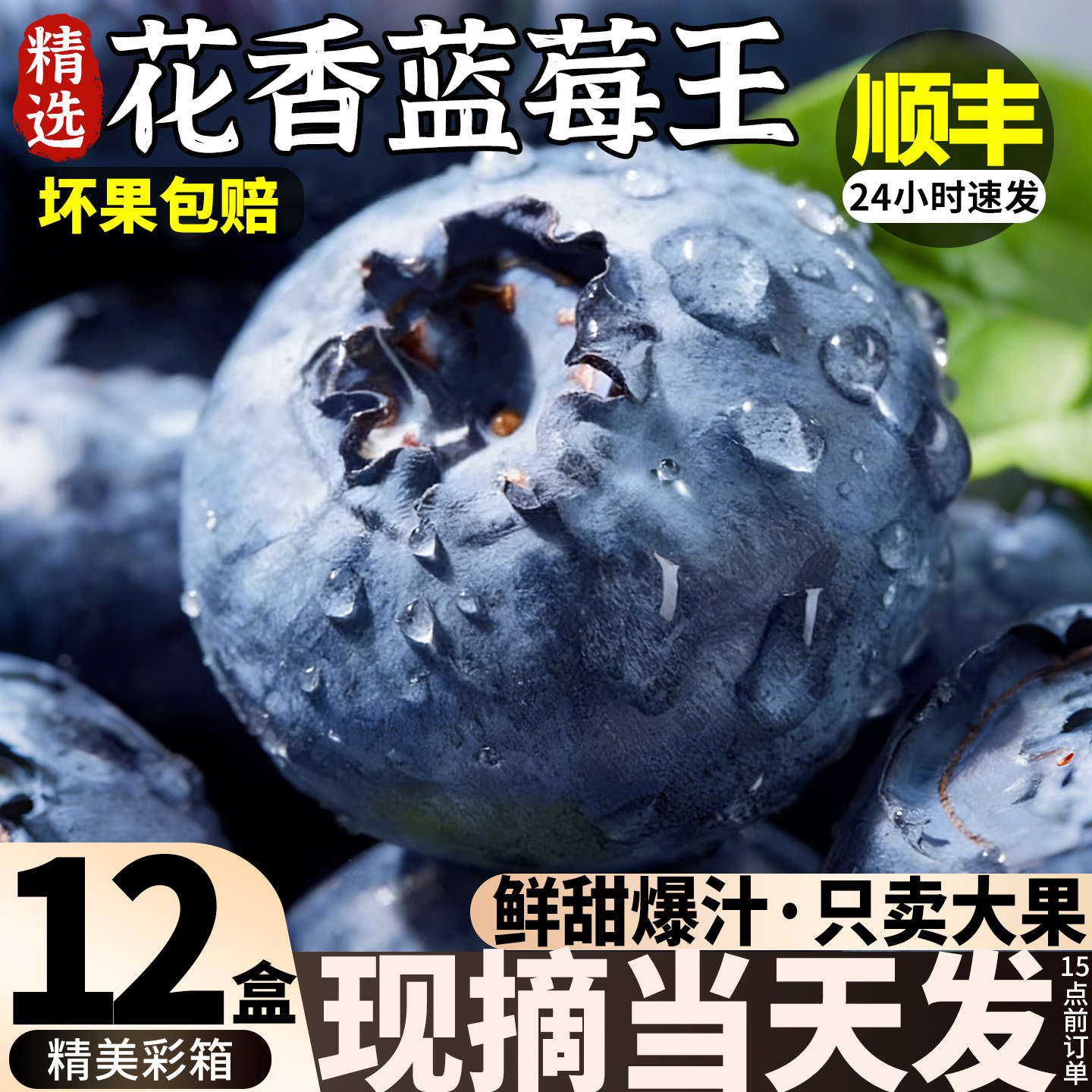 顺丰 蓝莓新鲜水果花香鲜果山东当季现摘12盒高山怡颗特大果包邮
