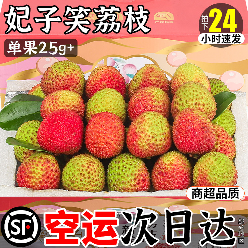 现货次日达！只发片红妃子笑荔枝