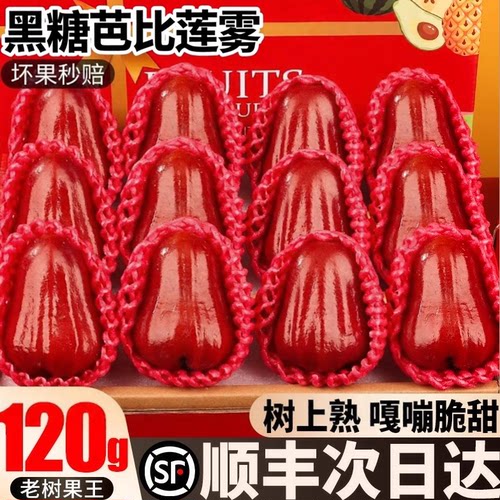 【顺丰次日达】脆甜黑糖芭比莲雾
