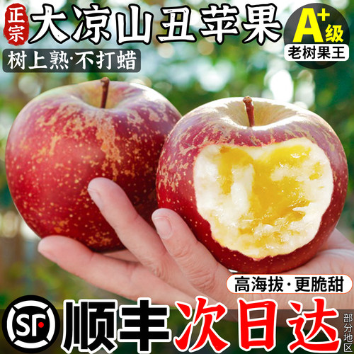 【官方推荐！】顺丰冰糖心丑苹果