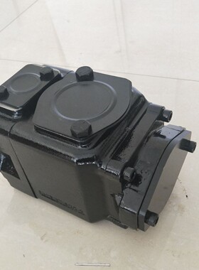 船用液压泵T6ERY 045 XR03 W42 A1 M249828+T6ED 045 045 3R03 B1