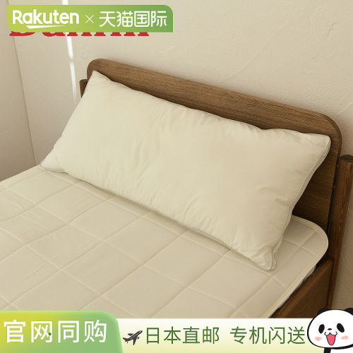 Danfill 枕头 寝具 Fyher Cushion Pillow 40×90cm 可洗 JPA022