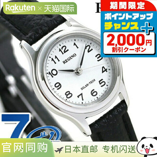 Citizen REGUNO Solartech Standard RS26-0033C 手表
