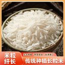 猫牙新米煮饭软糯煲仔饭大米优质猫牙米香软长粒粒长米香南方晚稻