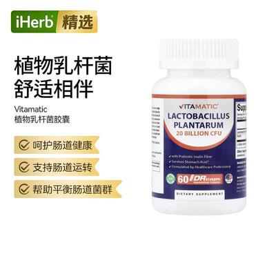 Vitamatic植物乳杆菌促进肠胃舒适与活力提升内在防御力益生菌胶
