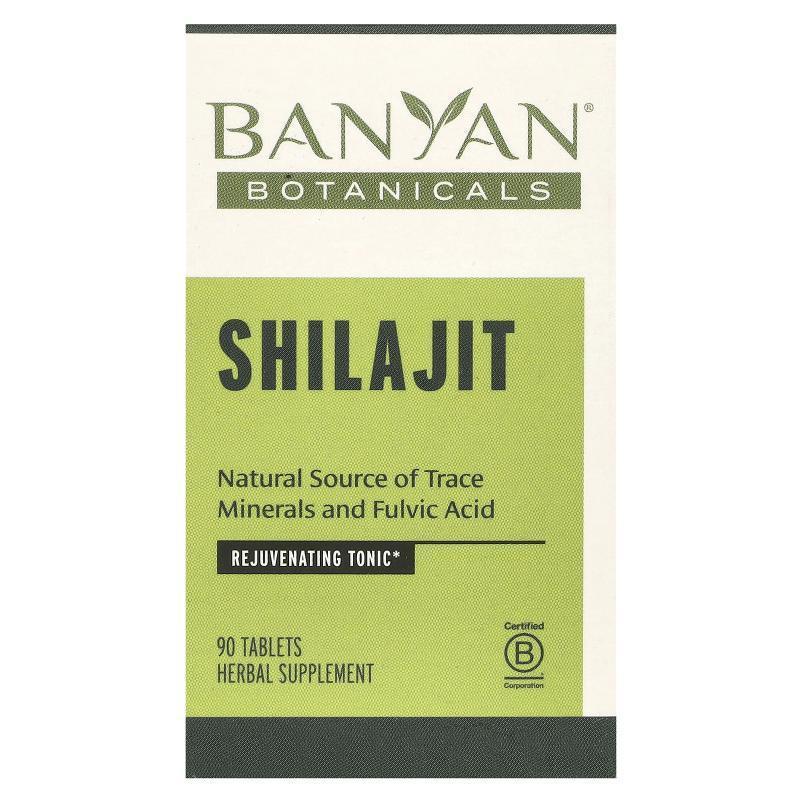 Banyan Botanicals,Shilajit, 90 Tablets