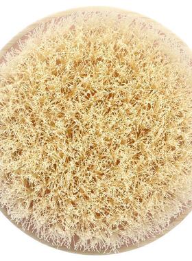 EcoTools干刷 洗澡刷搓澡巾搓背后背搓泥背后粗糙去角质