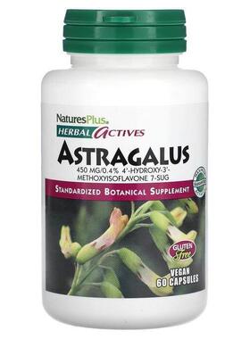 自然加,Herbal Actives，黄芪，450 毫克，60 粒全素胶囊