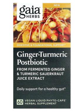 Gaia Herbs,Ginger-Turmeric Postbiotic, 60 Vegan Liquid Phyto