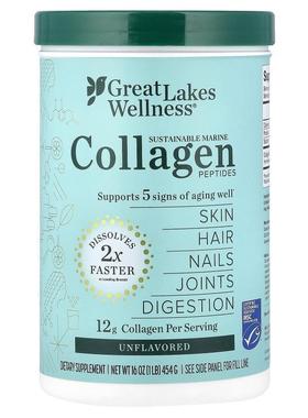 Great Lakes Wellness,可持续海洋胶原蛋白肽，原味，16 盎司（45