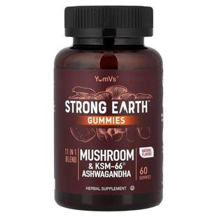 YumVs,Strong Earth™ Gummies, Mushroom & KSM-66® Ashwagan