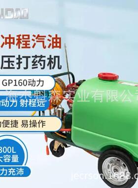 海道3WZ-300B四冲程汽油打药机GP160动力300升喷药机