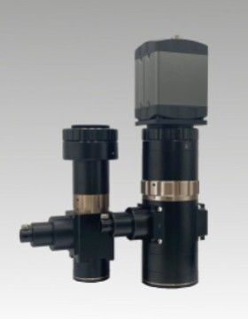 SEIWA  OPTOCAL清和光学 接口变焦镜头筒 M.Plan APO2.5XHR