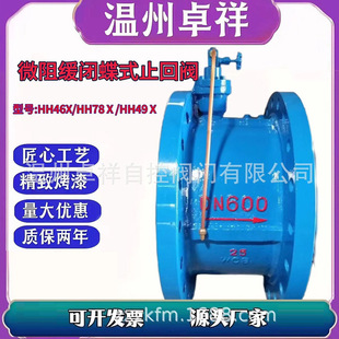 HH48X 厂家直销 HH47X 止回阀 HH49X铸钢蝶式 微阻缓闭碟式