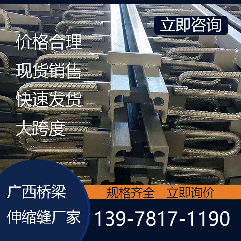 北海桥梁伸缩缝型钢  D80型C型E型 桥梁伸缩装置模数式伸缩缝