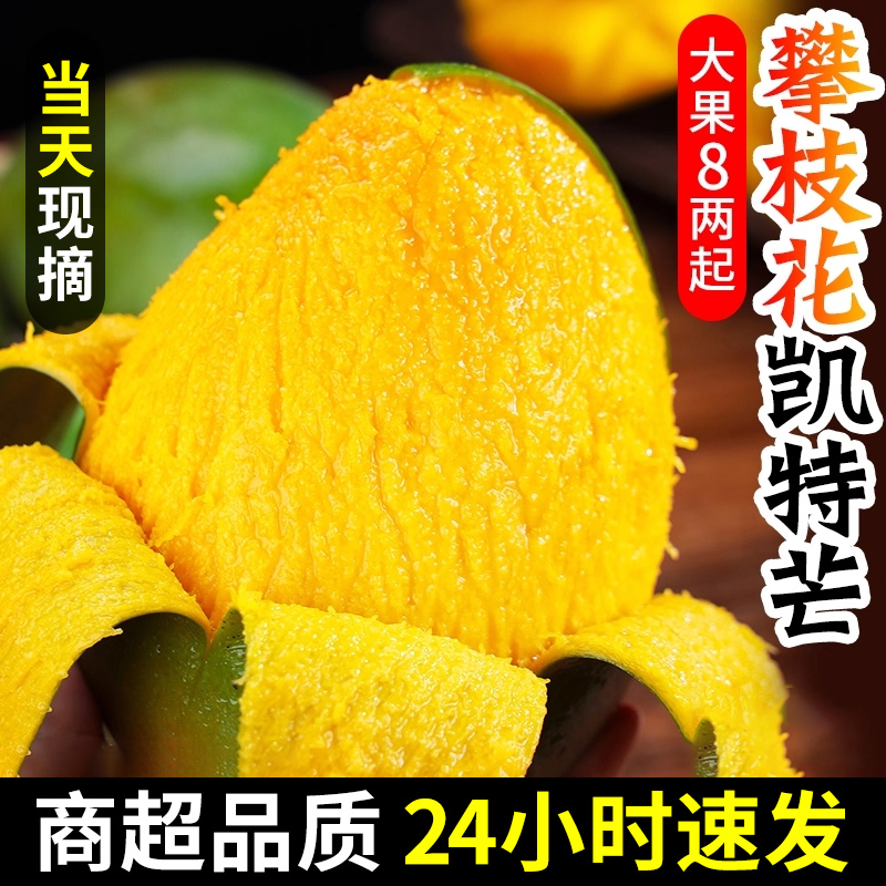 四川攀枝花凯特芒果新鲜应季9斤水果芒果整箱包邮特大青忙果当季