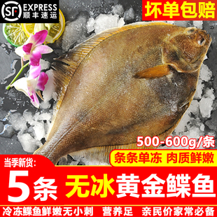 鲽鱼新鲜黄金鲽鱼整条大号比目鱼活冷冻整条深海鸦片鱼整箱顺丰
