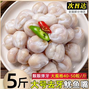 新鲜鱿鱼嘴去牙冷冻目鱼嘴大号墨鱼嘴嚼劲乌贼嘴烧烤商用批发整箱