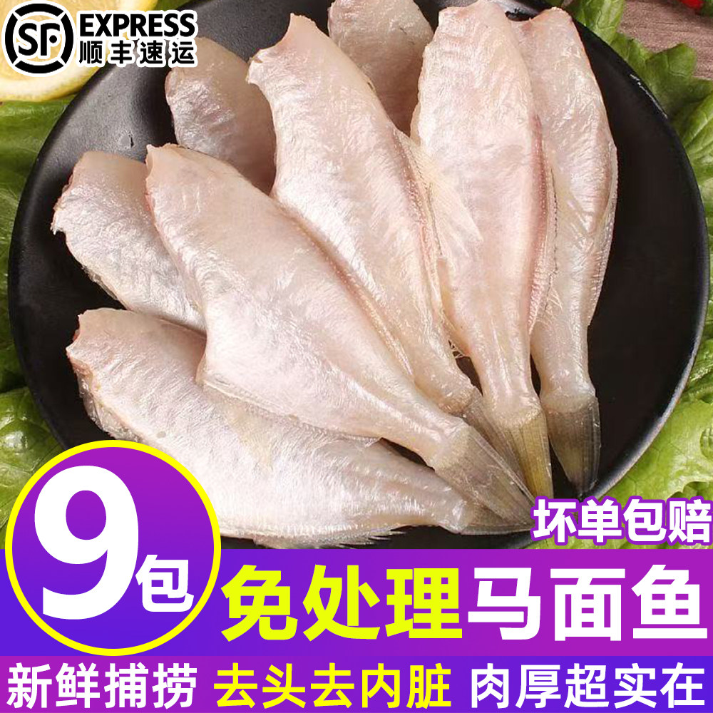 广西北海马面鱼剥皮鱼冷冻火锅