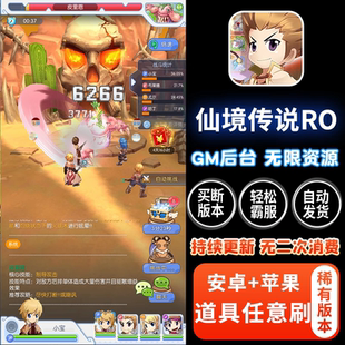 仙境传说ro手游无限内购初心者大冒险苹果安卓gm游戏后台非单机版