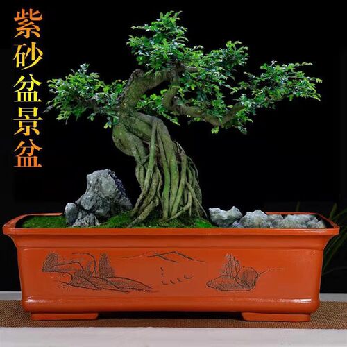 特大紫砂花盆长方形盆景盆假山造景盆室内阳台种菜Y盆陶瓷盆栽盆