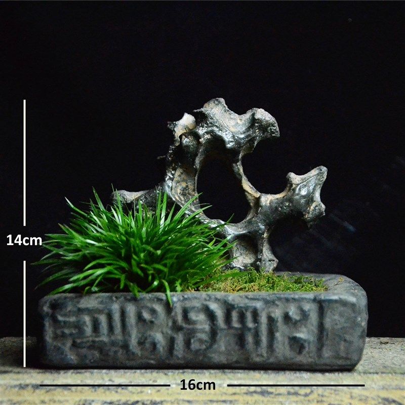 仿古素雅汉砖盆金钱菖蒲苔w藓室内盆景植物绿植易养茶桌书桌盆栽,鲜花速递/花卉仿真/绿植园艺,造型盆景,淘宝优惠券,粉丝福利购,淘宝优惠卷
