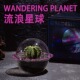 仙人掌多肉绿植微景观室办公室桌T面小盆栽创意礼盒 流浪星球
