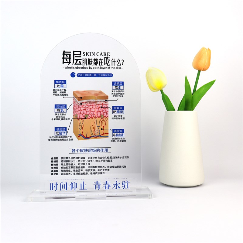 美妆店摆件皮肤层k级吃什么台牌护肤知识分层抗衰肌肤结构展示牌