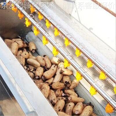 桔沙参玛卡三清洗去泥辊七清洗机 花生地环荠菜宝塔菜毛ZQV去泥梗