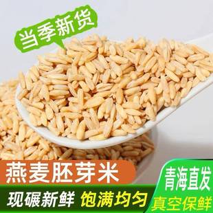 旗舰新米青海燕麦米全胚芽燕麦米米饭伴侣五谷杂粮粗粮农家裸燕麦