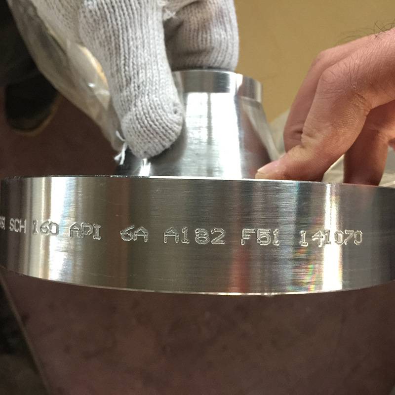 源特供应API 6A A182 F51锻造法兰 HG/T20592 316L 2507高压法兰