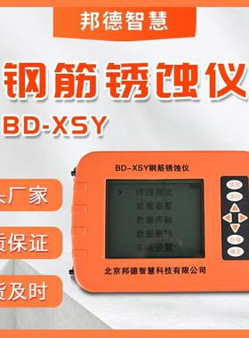 钢筋锈蚀仪BD-XSY钢筋仪智能金属检测数显混凝土位置检测仪