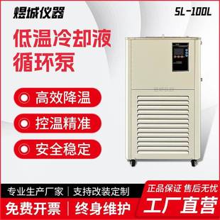 DLSB低温冷却液循环泵低温冷却水循环机实验室数显水浴槽制冷机